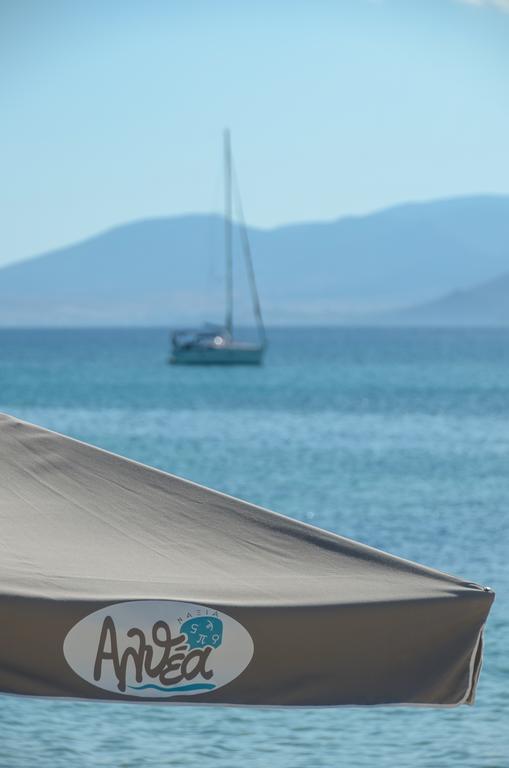 Naxian Althea Agia Anna (Naxos) Exterior foto